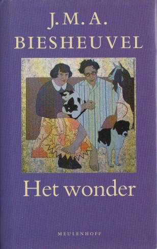 Biesheuvel, Maarten - Het wonder. Verhalen.