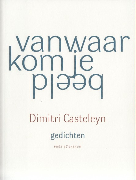 Casteleyn, Dimitri - Vanwaar kom je beeld.