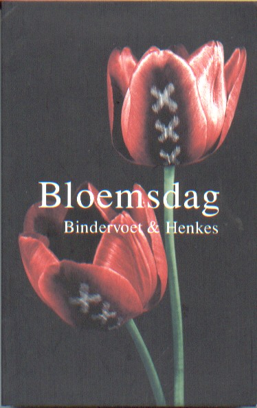Bindervoet & Robbert-Jan Henkes, Erik - Bloemsdag.